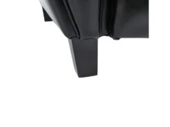 Canapé Club 2 Places Noir -Accueil-Canapé canape 12998317