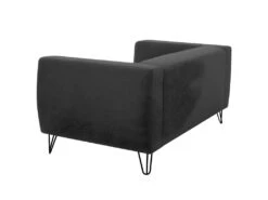 Canapé Fixe SERENA 2 Places En Tissu Avec Pieds épingles - Gris Anthracite -Accueil-Canapé canape 14642607