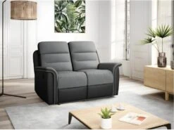 Canapé De Relaxation 2 Places En Microfibre Et Simili LÉON - Gris Et Noir -Accueil-Canapé canape 14642965