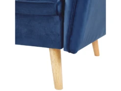 Canapé Convertible 2 Places En Velours Bleu Cobalt BARDU -Accueil-Canapé canape 16649629