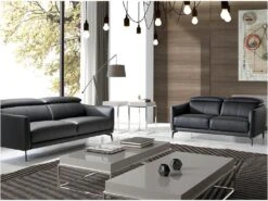 Canapé 2 Places En Cuir Et Acier Noir 6058 ANGEL CERDA 15 Canapé 2 Places En Cuir Et Acier Noir 6058 ANGEL CERDA -Accueil-Canapé canape 18426043