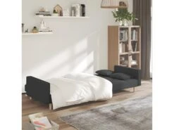 Canapé-lit à 2 Places Avec Deux Oreillers Gris Foncé Tissu -Accueil-Canapé canape 21994057