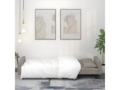 Canapé-lit à 2 Places Avec Deux Oreillers Gris Clair Velours -Accueil-Canapé canape 21994591