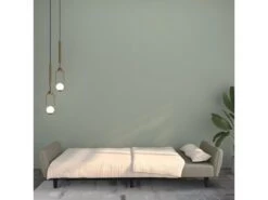 Canapé-lit à 2 Places Gris Clair Velours -Accueil-Canapé canape 21997067