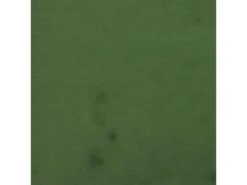 Canapé-lit à 2 Places Vert Foncé Velours -Accueil-Canapé canape 22000175