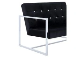 Canapé 2 Places Avec Accoudoirs Noir Chrome Et Velours -Accueil-Canapé canape 22009051