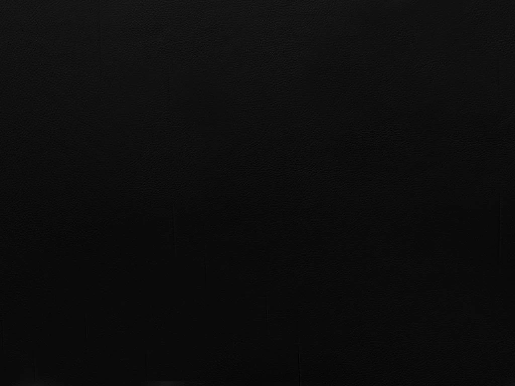 Canapé 3 Places Convertible Express 100% Cuir De Buffle Noir Matelas 18 Cm DELECTEA II 11 Canapé 3 Places Convertible Express 100% Cuir De Buffle Noir Matelas 18 Cm DELECTEA II – Image 9